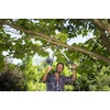 image:imageGARDENA Anvil Loppers Heavy Duty Steel 27 in Handle 157 in Cut  12004Bypass