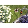 image:imageGardena 18066 High Flex Hose 12 x 10012 x 165