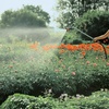 image:imageGardena Profi System Maxi Flow  Spray LanceSpray pouring rod