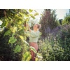 image:imageGARDENA PlantFriendly Bypass Pruner 1 in Max Cut NonStick Blade  08904